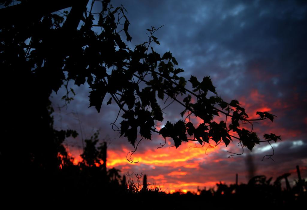 Castello Di Selvole (Adults Only) Guest House Vagliagli ภายนอก รูปภาพ